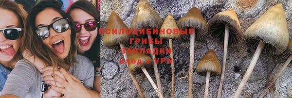 гидропоника Абаза